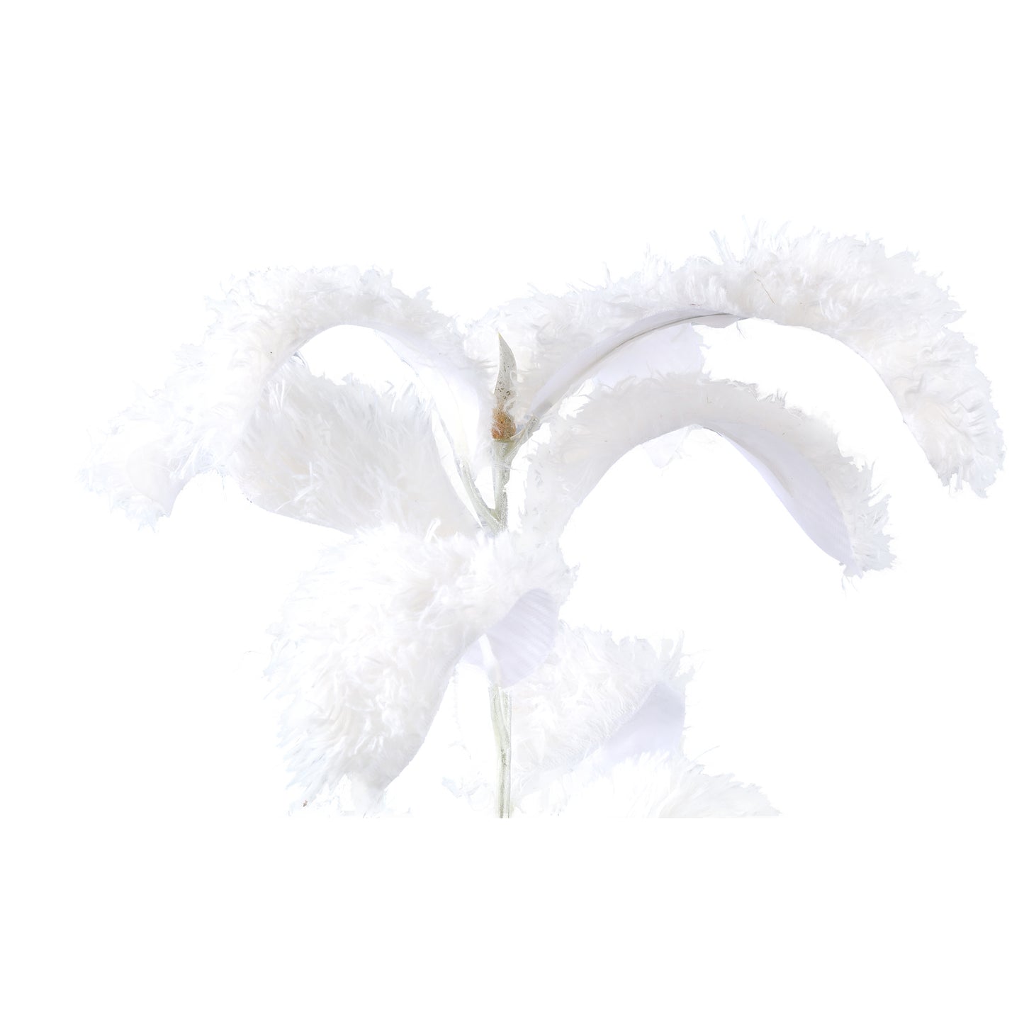 Leaves Plant Witte Magnolia Bladtak Behaard - Set van 6 84x36x26 cm