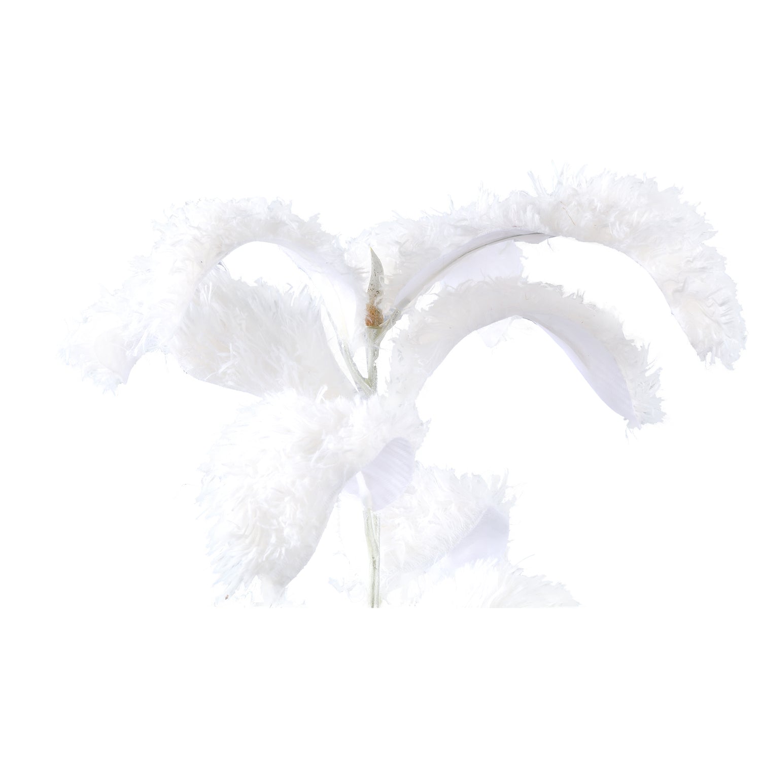 Leaves Plant Witte Magnolia Bladtak Behaard - Set van 6 84x36x26 cm