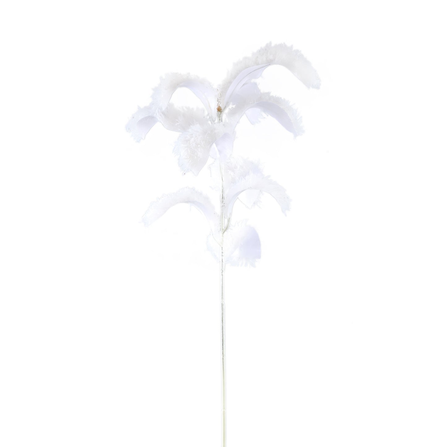 Leaves Plant Witte Magnolia Bladtak Behaard - Set van 6 84x36x26 cm