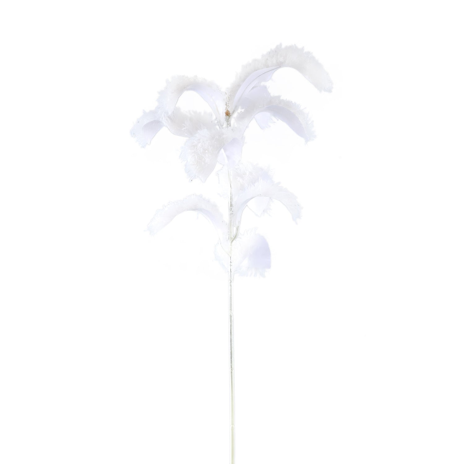 Leaves Plant Witte Magnolia Bladtak Behaard - Set van 6 84x36x26 cm
