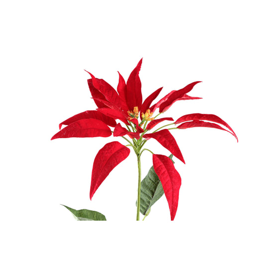 Garden Flower Rode Kerstster Spray Met Bladeren - Set van 12 71x10x20 cm