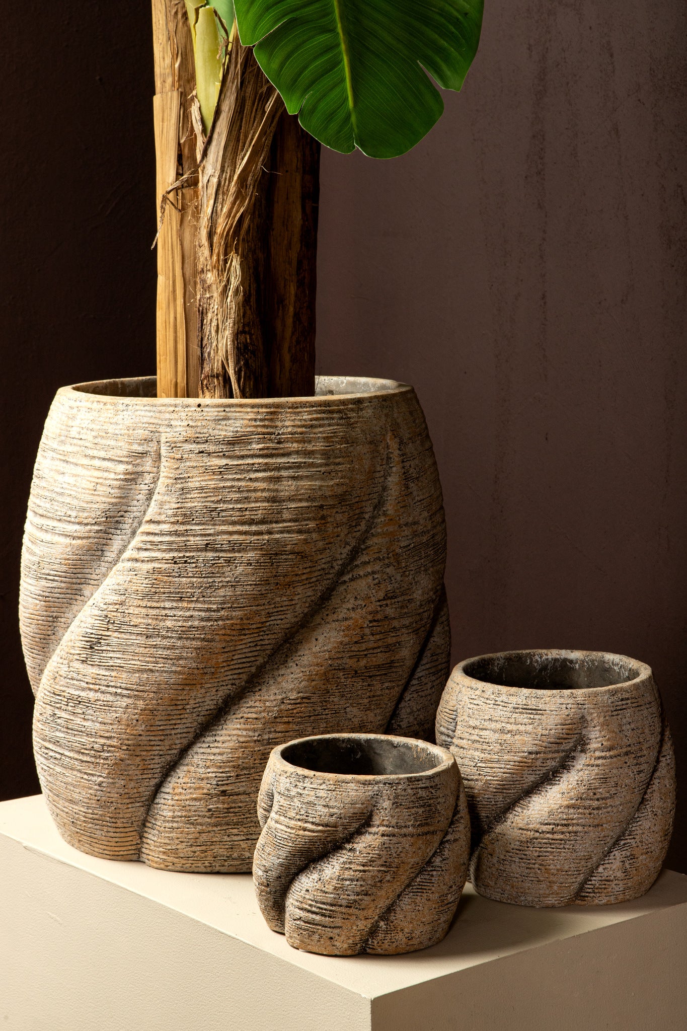 Evanthia Taupe Cement Pot Swirl Round L