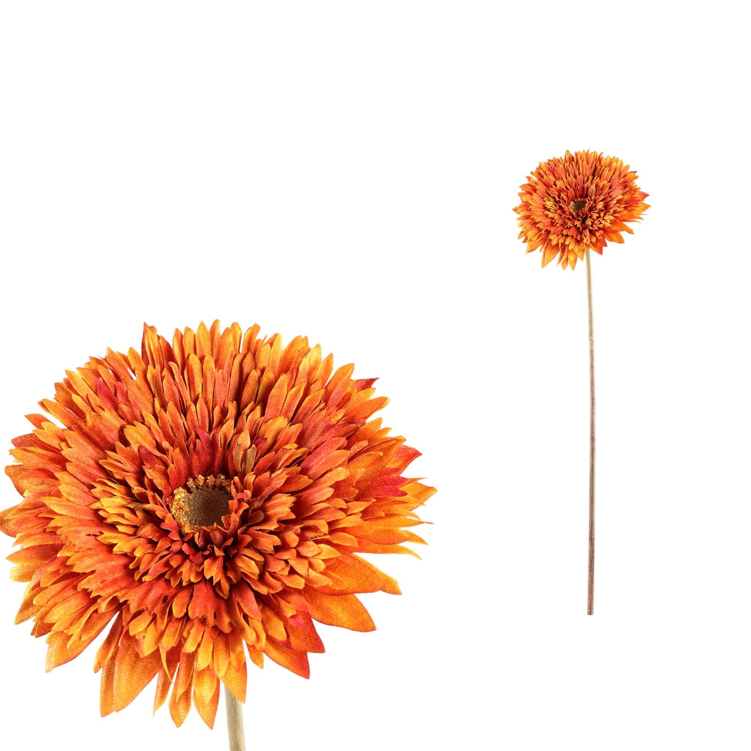 Gerbera Bloem Oranje Stengel Set van 12 Stuks - 12 Sets 64x5x14 cm