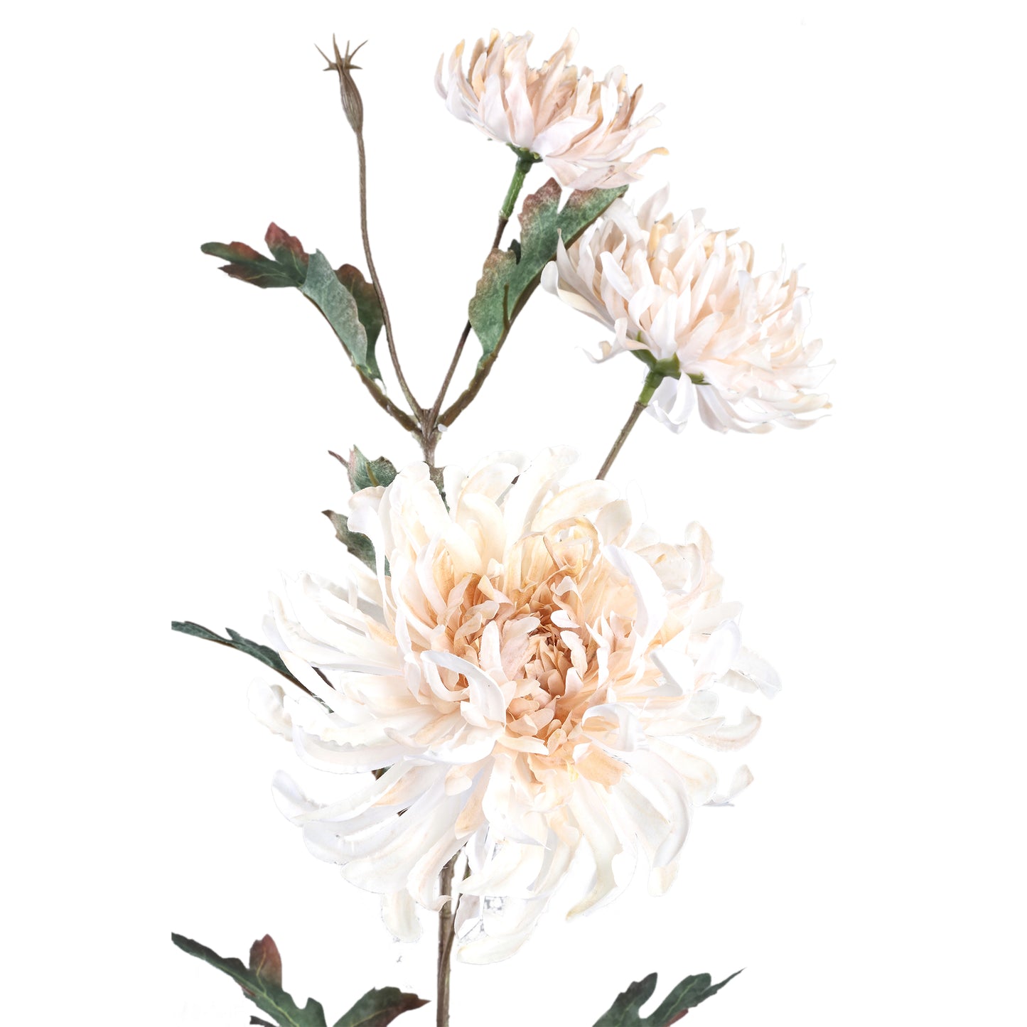 Chrysant Flower Crèmekleurige Kunstbloem Met Blad - Set van 12 81x41x25 cm