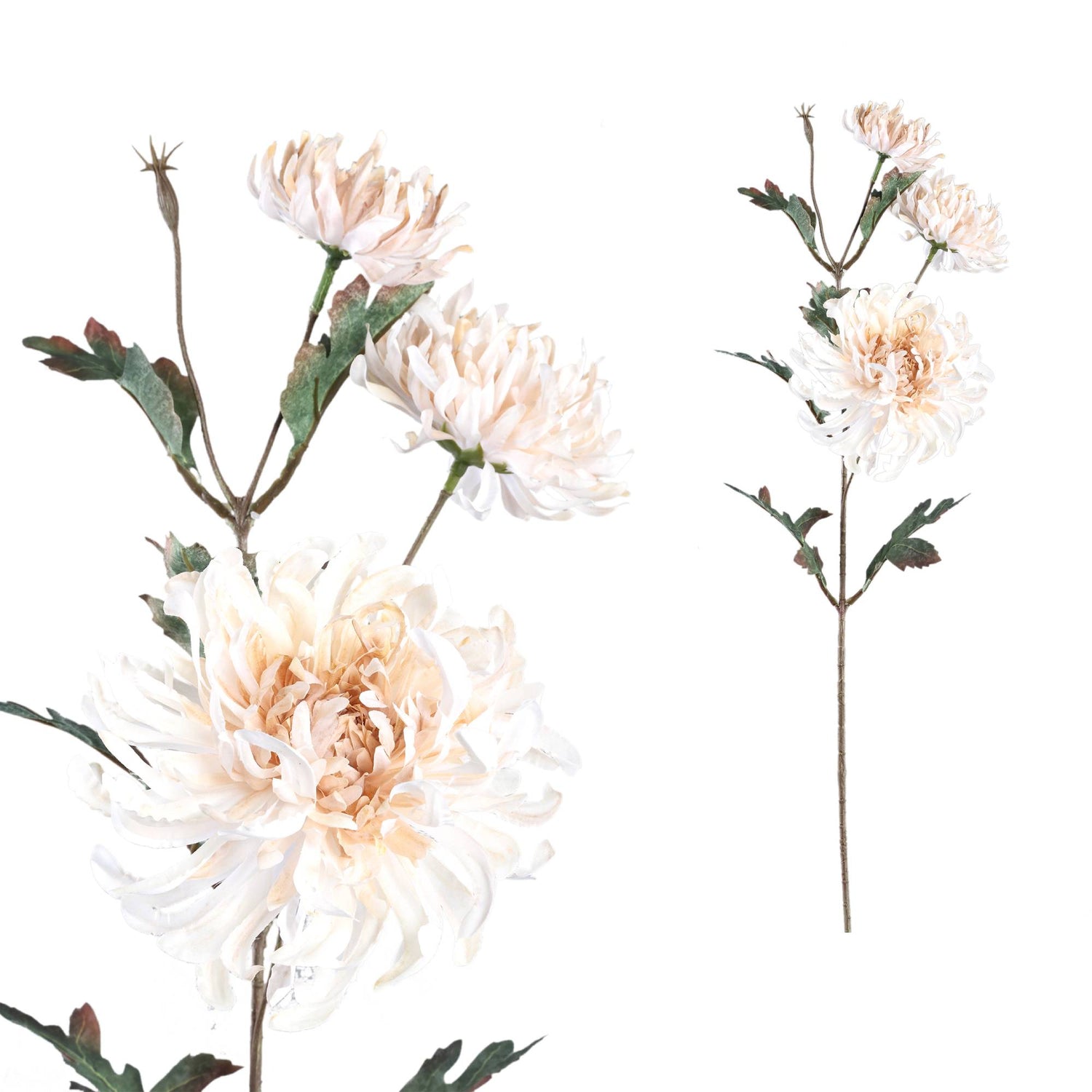 Chrysant Flower Crèmekleurige Kunstbloem Met Blad - Set van 12 81x41x25 cm