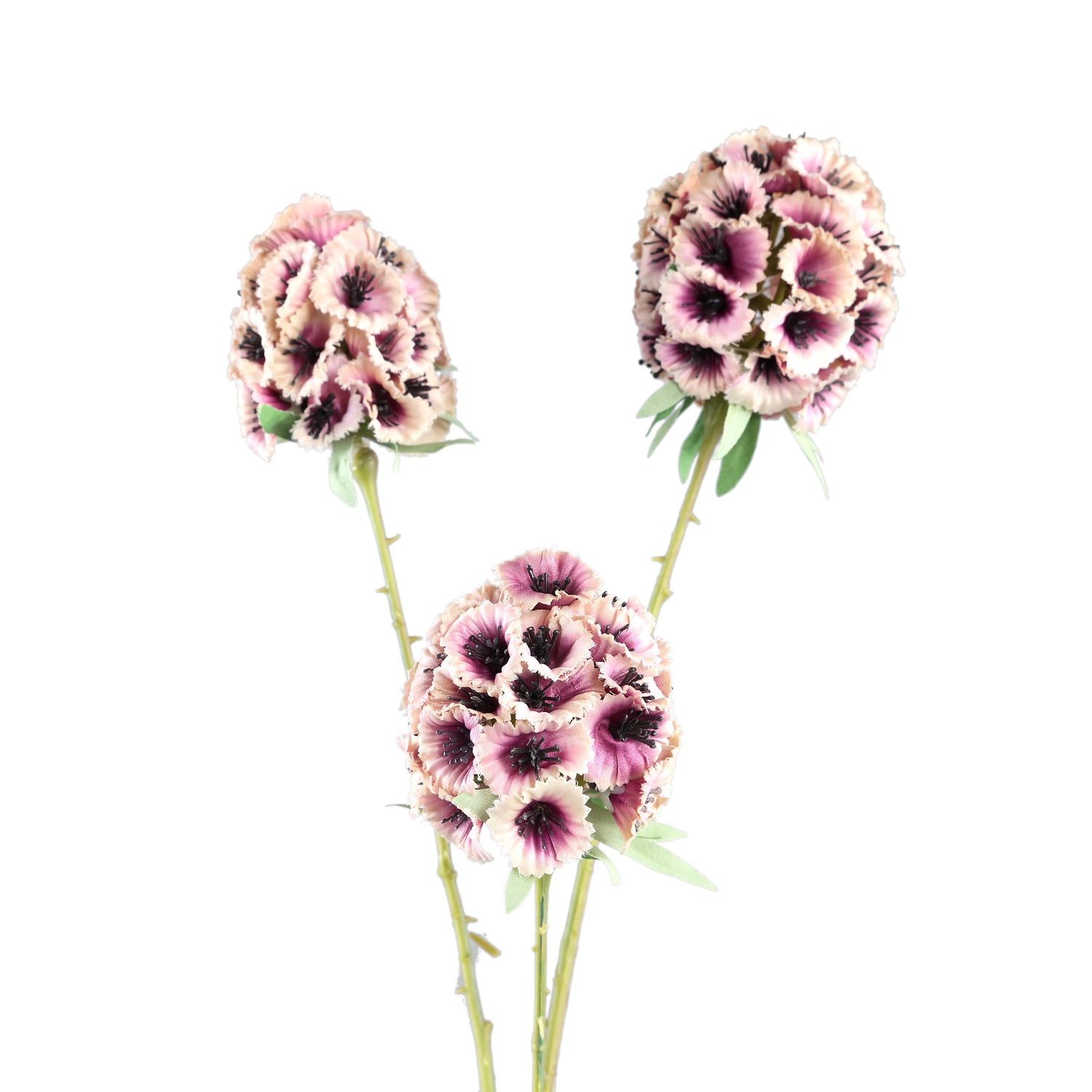 Garden Flower Roze Scabiosa Spray - Set van 12 72x34x16 cm