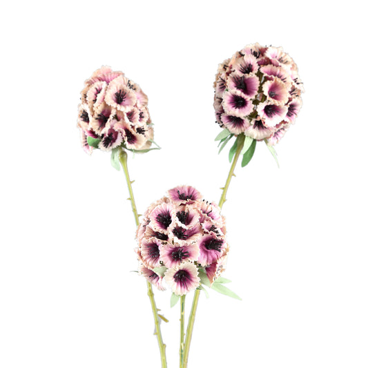 Garden Flower Roze Scabiosa Spray - Set van 12 72x34x16 cm
