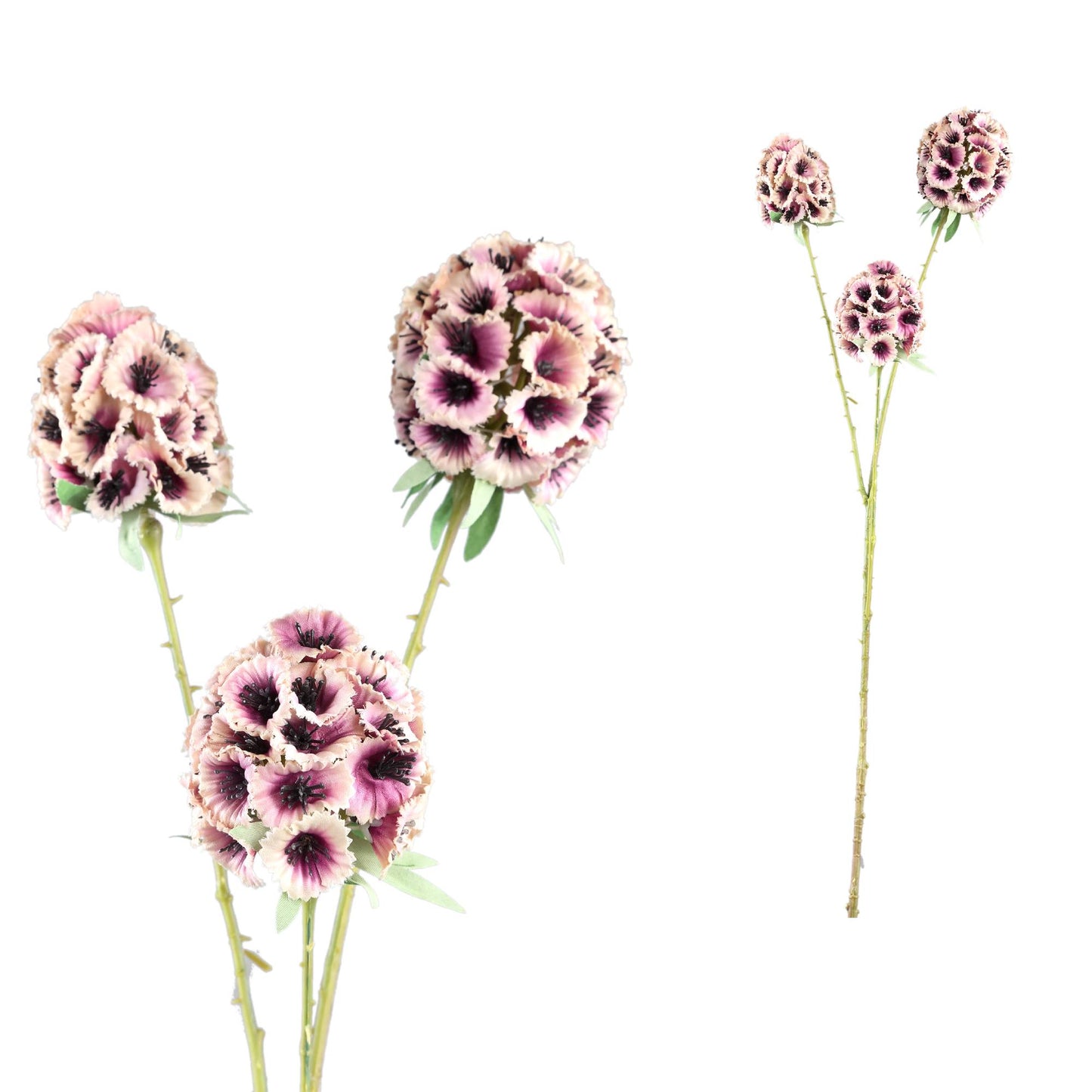 Garden Flower Roze Scabiosa Spray - Set van 12 72x34x16 cm