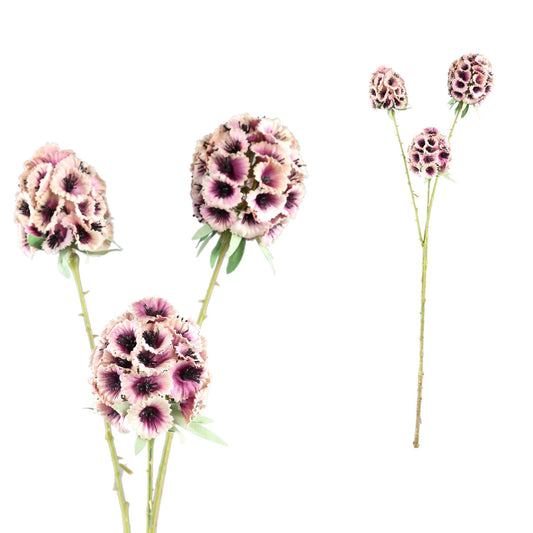 Garden Flower Roze Scabiosa Spray - Set van 12 72x34x16 cm