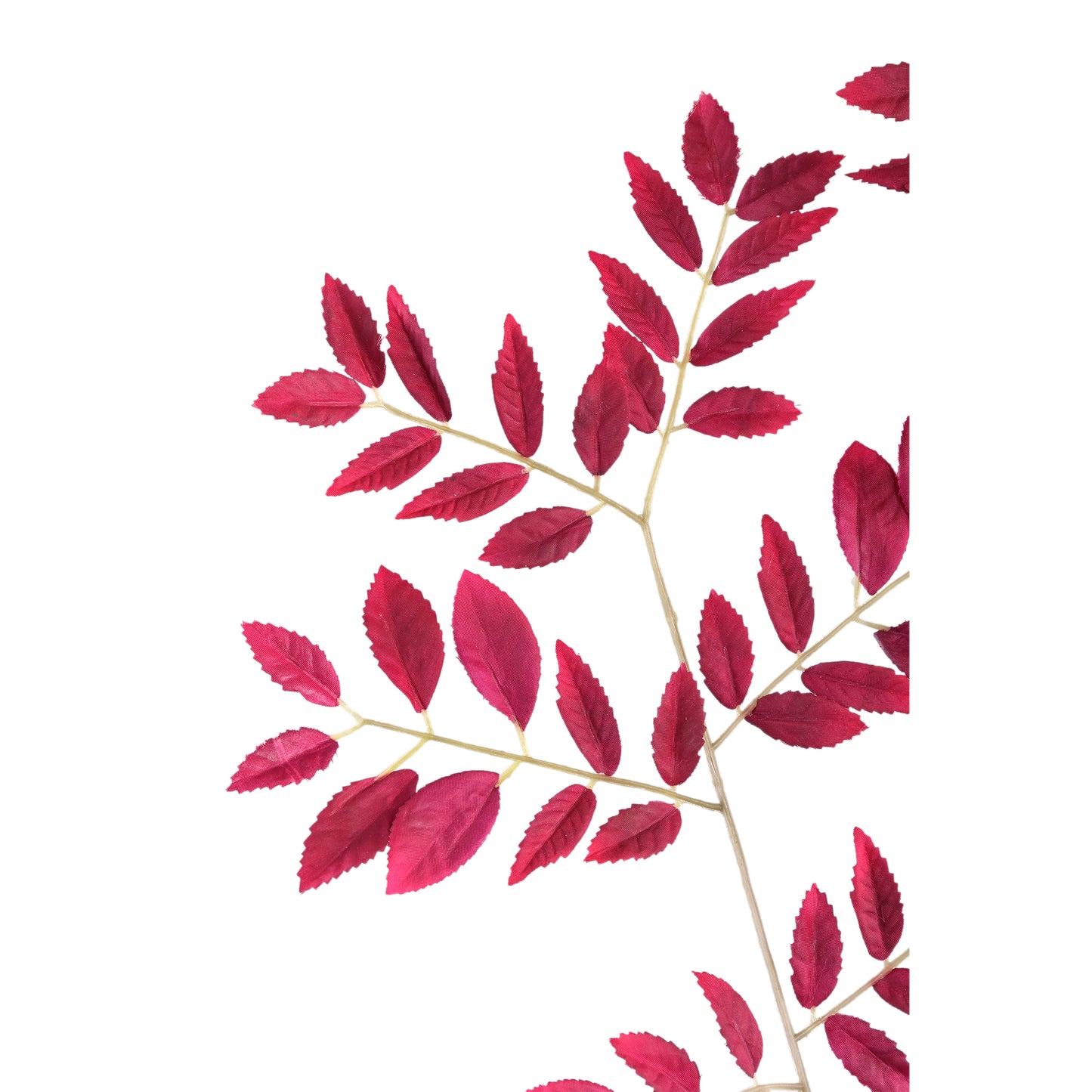 Leaves Plant Paarse Sorus Bladspray - Set van 6 92x65x84 cm
