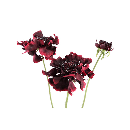 Garden Flower Rode Scabiosa Spray Met Bladeren - Set van 12 65x33x23 cm