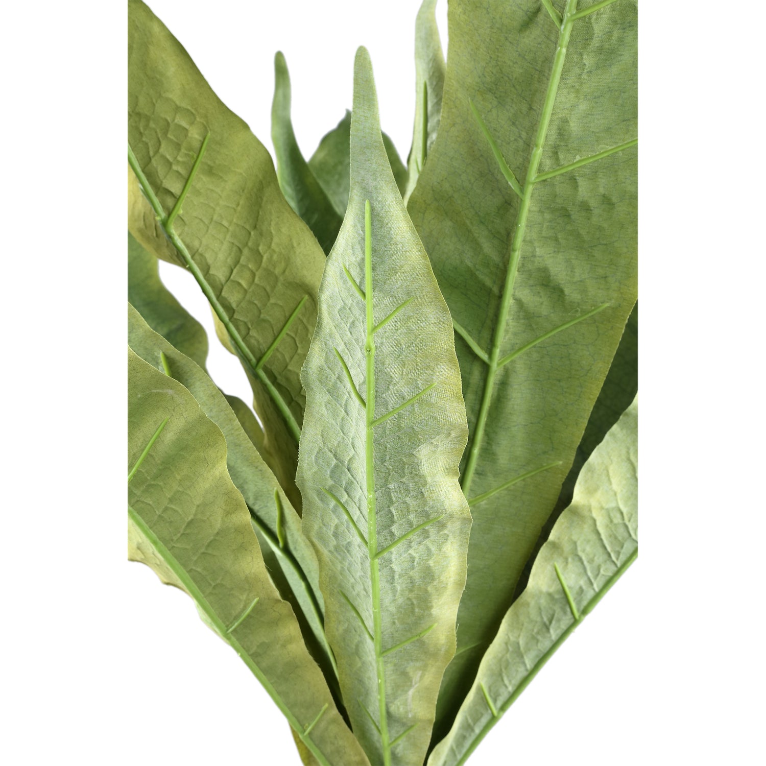 Leaves Plant Groen Bladranken Plant Spray Met Wortels Set van 6 Stuks - 6 Sets 82x65x65 cm