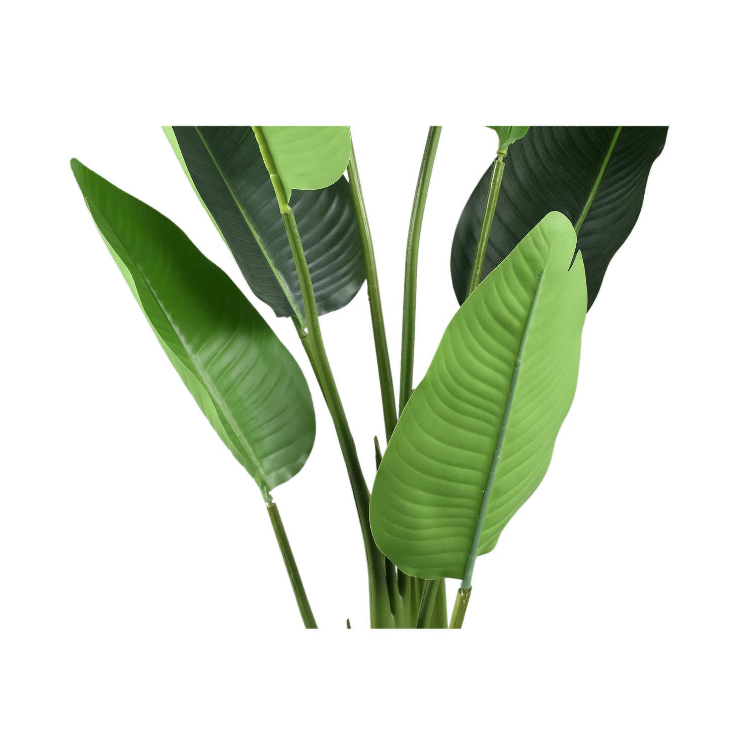 Leaves Plant Groene Strelitzia In Pot Set Van 2 Stuks - 2 Sets 117x77x56 cm