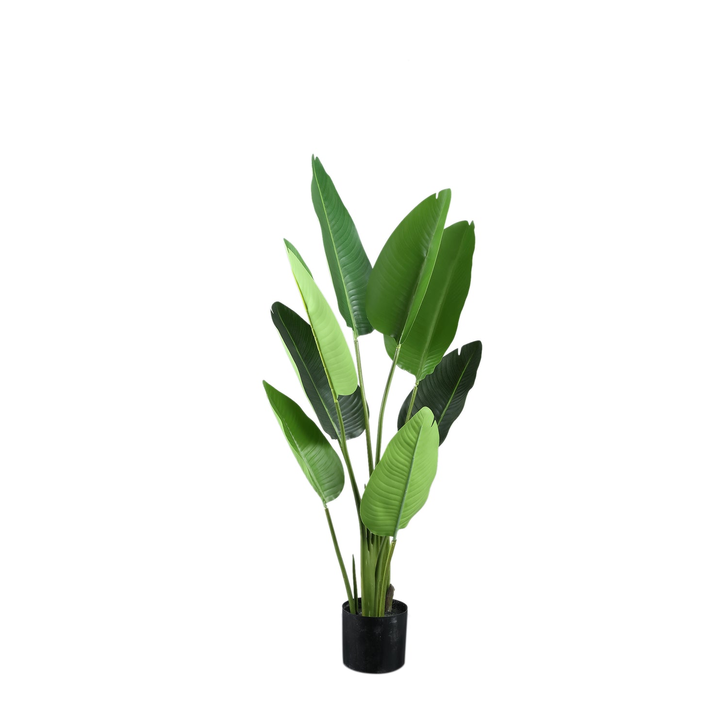 Leaves Plant Groene Strelitzia In Pot Set Van 2 Stuks - 2 Sets 117x77x56 cm