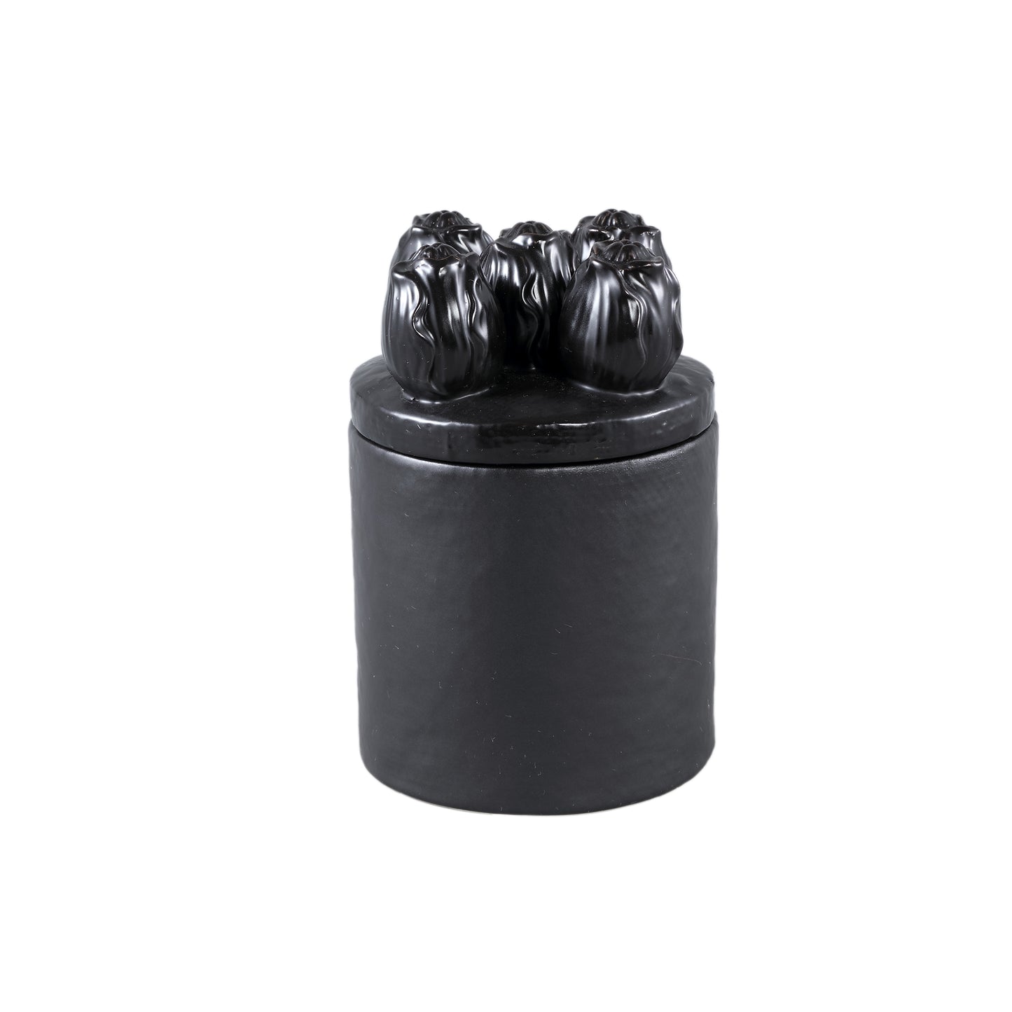 Krystine Black Round Ceramic Pot With Tulips Top
