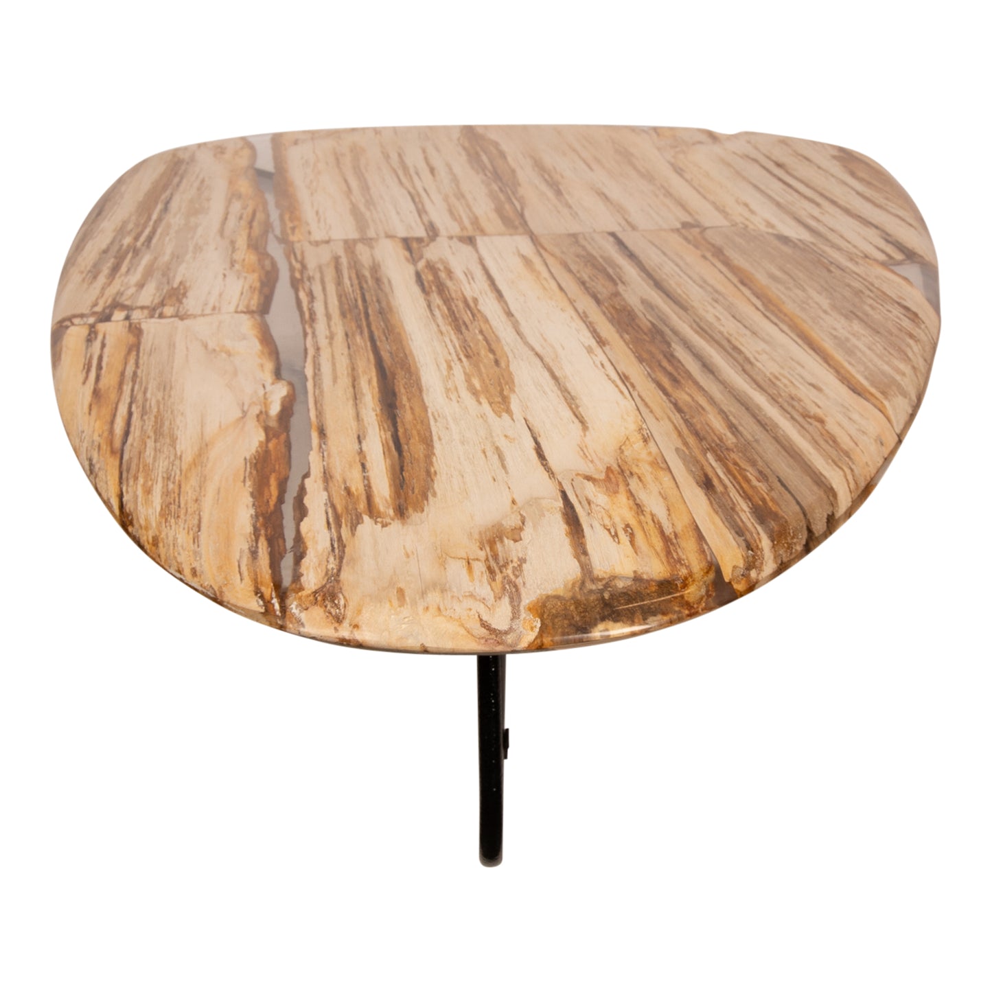 Deeba Coffeetable Petrified Wood 130