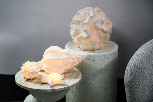 Graeme White Poly Shell Shaped LED Lamp S