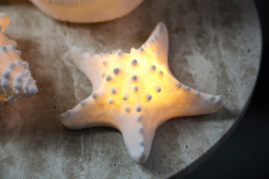 Graeme White Poly Sea Star Shaped LED Lamp S