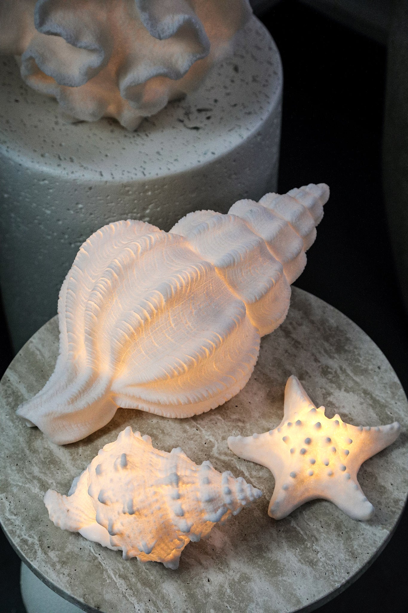 Graeme White Poly Sea Star Shaped LED Lamp S
