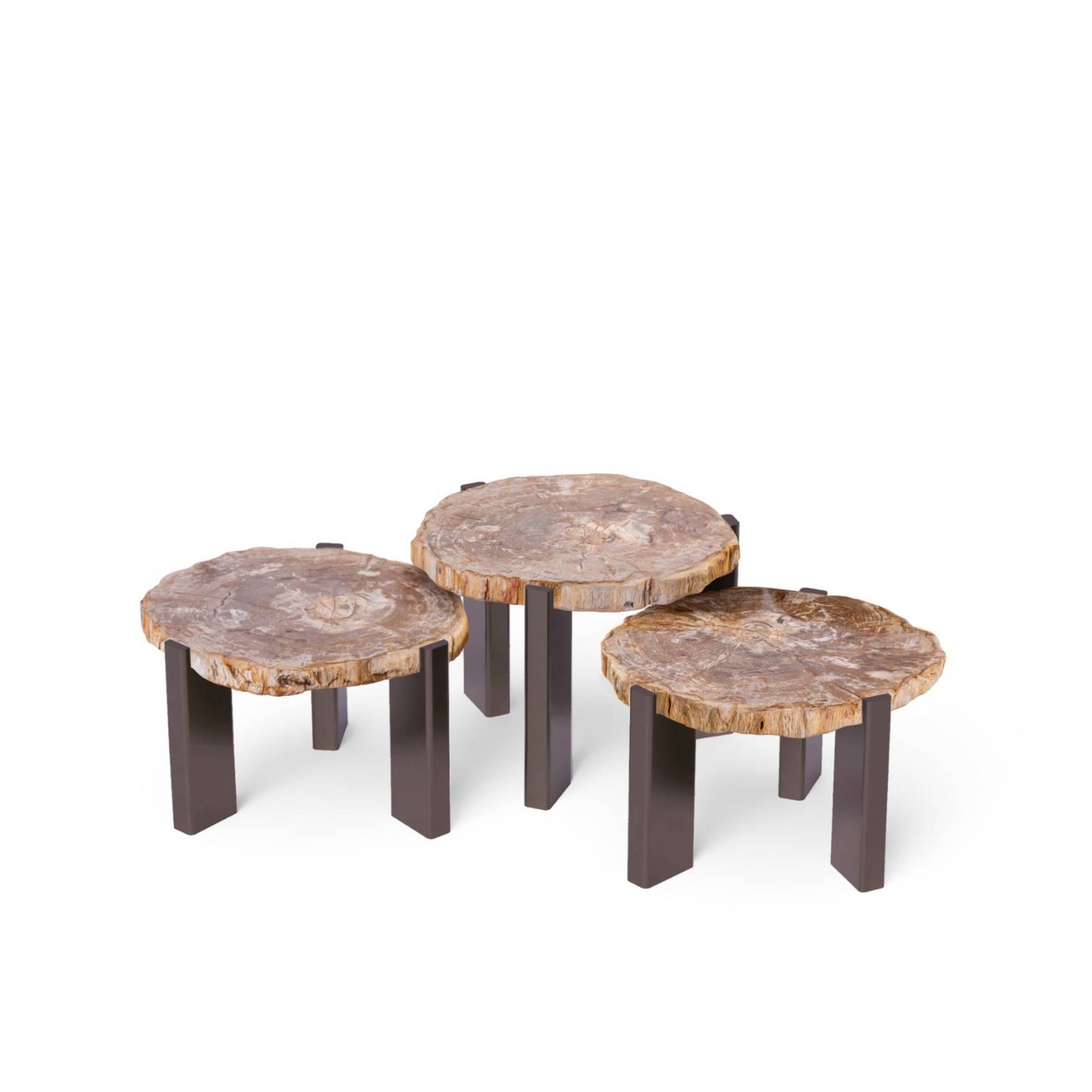 Rudi Natuurlijke Versteende Hout Koffietafel Nikkel 43x50x60 cm