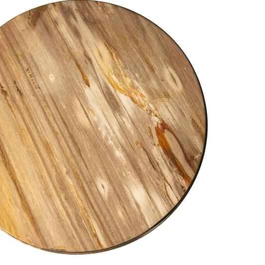 Mody Natuurlijke Versteend Hout Bijzettafel Op Voet Rond 64x21x21 cm