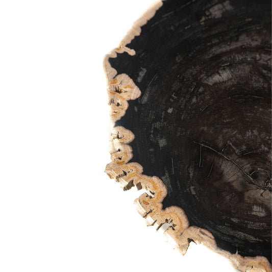 Jisse Zwarte Bijzettafel met Versteend Hout en Gedraaide Basis 53x30x35 cm