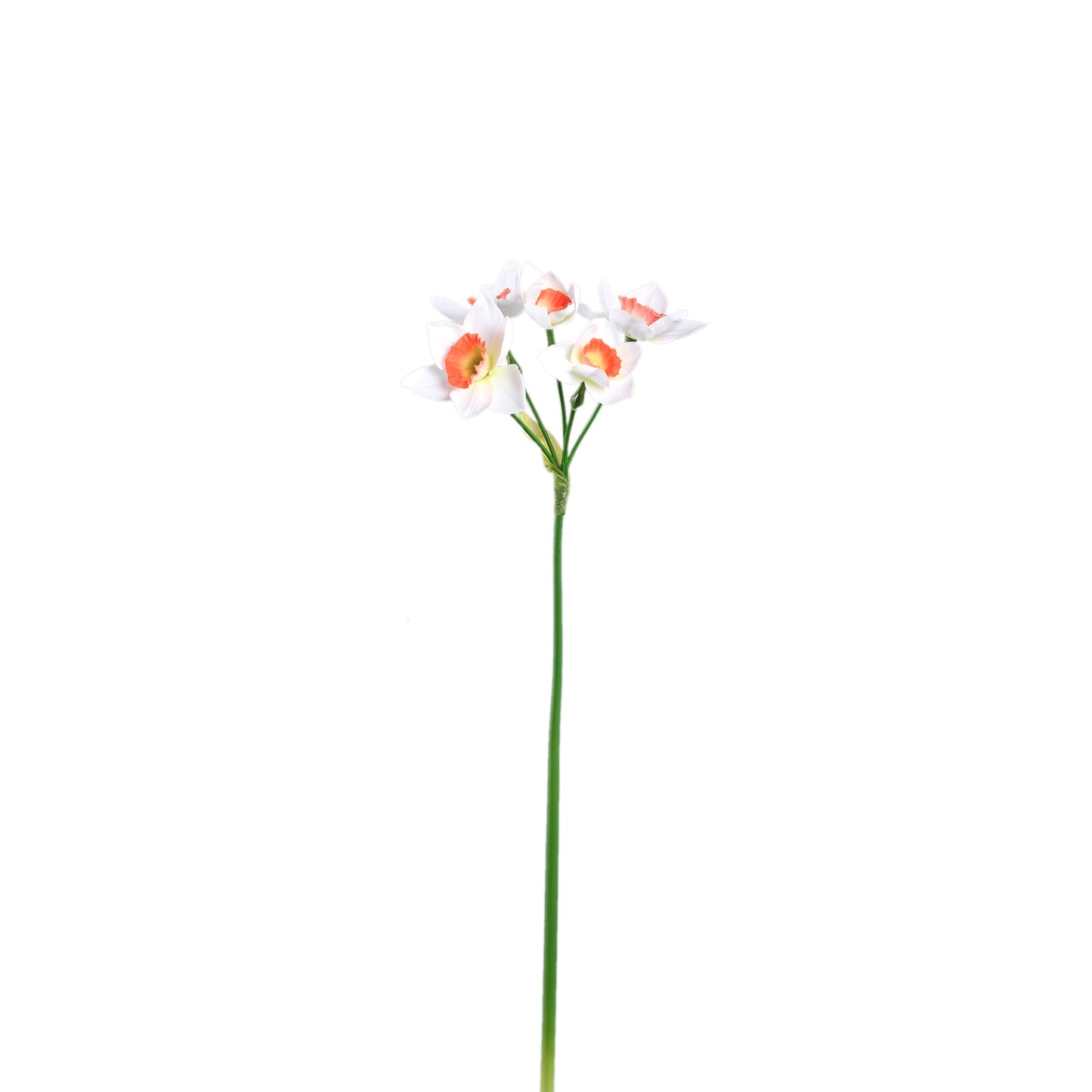 Garden Flower Witte Narcis Spray - Set van 12 50x13x15 cm