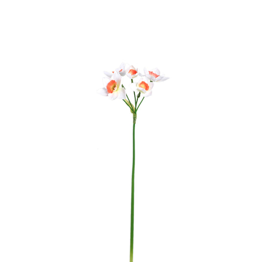 Garden Flower Witte Narcis Spray - Set van 12 50x13x15 cm