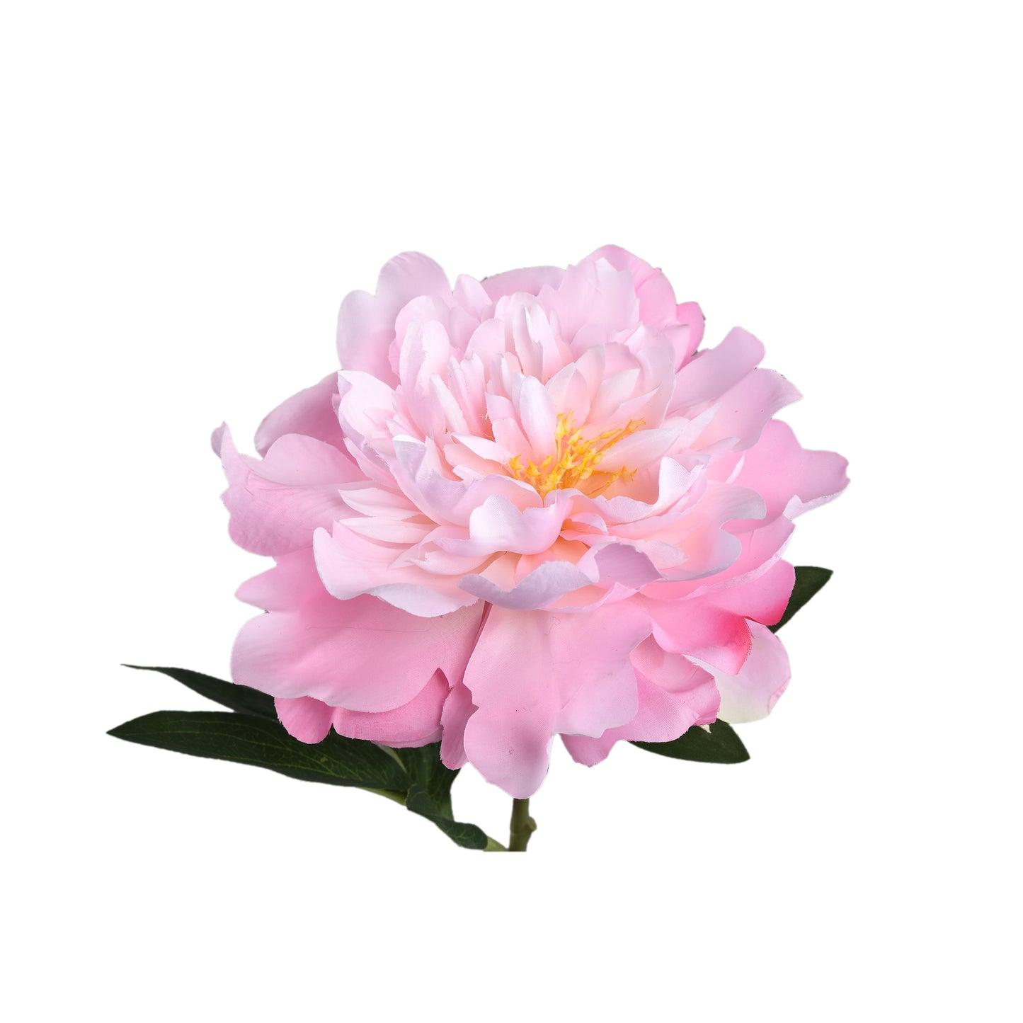 Pioenroos Bloem Lichtroze Pioenroos Stengel Kort - Set van 12 30x9x16 cm