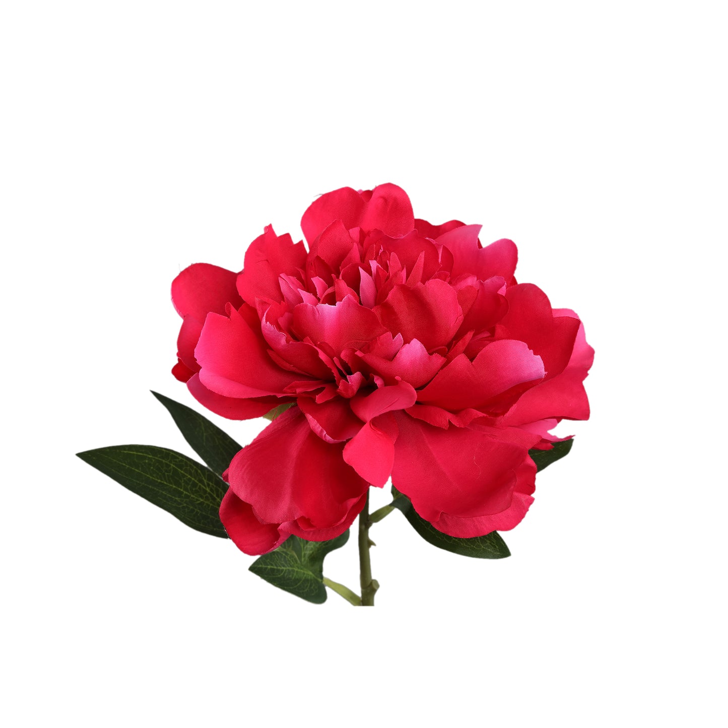 Pioenrozen Bloem Magnolia Roze Pioenroos Tak Kort - Set van 12 30x9x16 cm