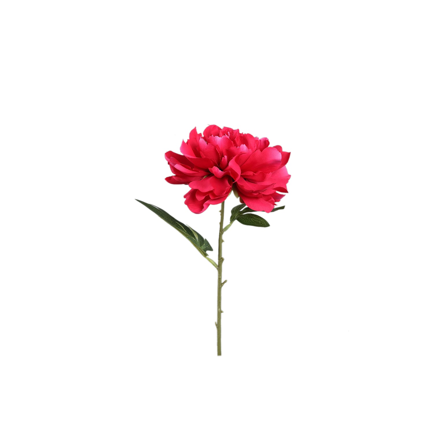 Pioenrozen Bloem Magnolia Roze Pioenroos Tak Kort - Set van 12 30x9x16 cm