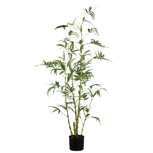 Tree Green Bamboe Belly Tree In Pot 150x135x80 cm