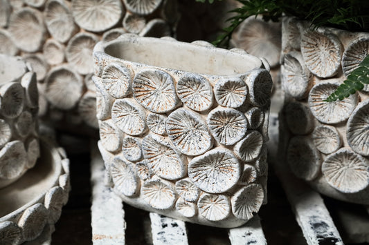 Ayisy Crème Ovale Cementpot Met Koraal L 36x40x20 cm