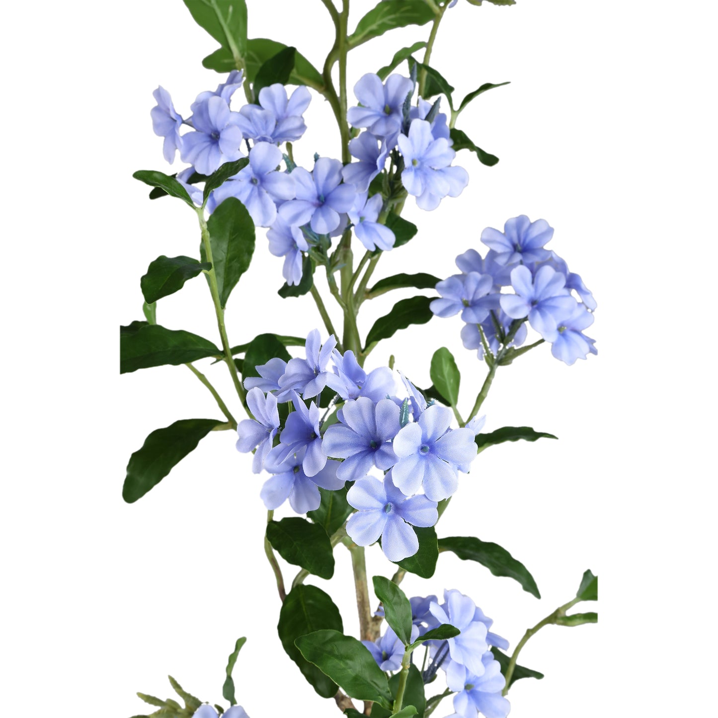 Garden Flower Blauwe Plumbago Tak Met Bladeren Set Van 6 Stuks - 6 Sets 144x90x37 cm