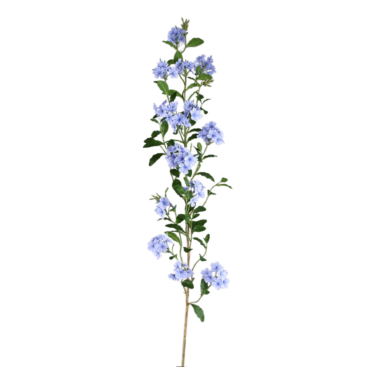 Garden Flower Blauwe Plumbago Tak Met Bladeren Set Van 6 Stuks - 6 Sets 144x90x37 cm
