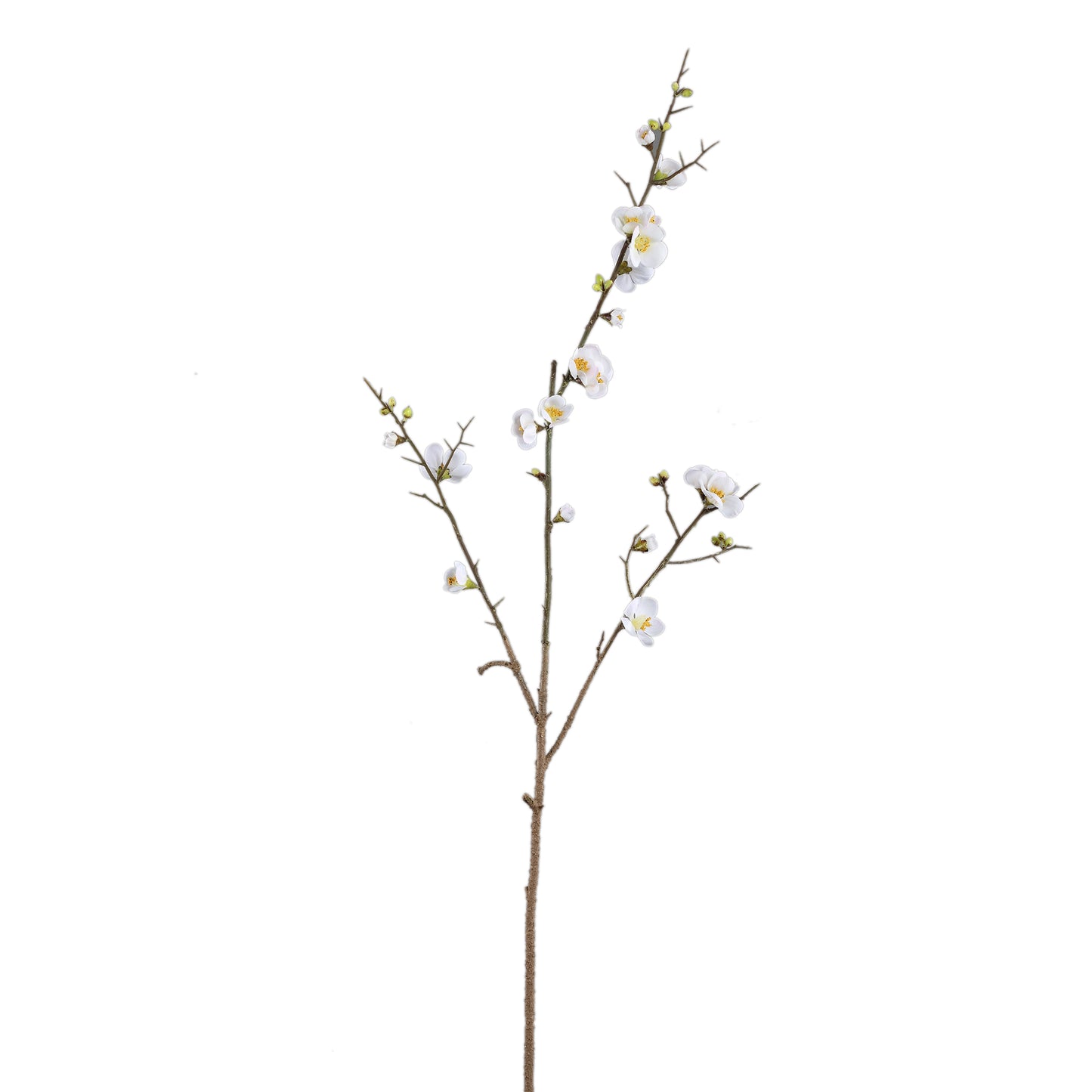 Blossom Japanse Kweepeer Wit S - Set van 12 - 12 Sets 89x52x19 cm