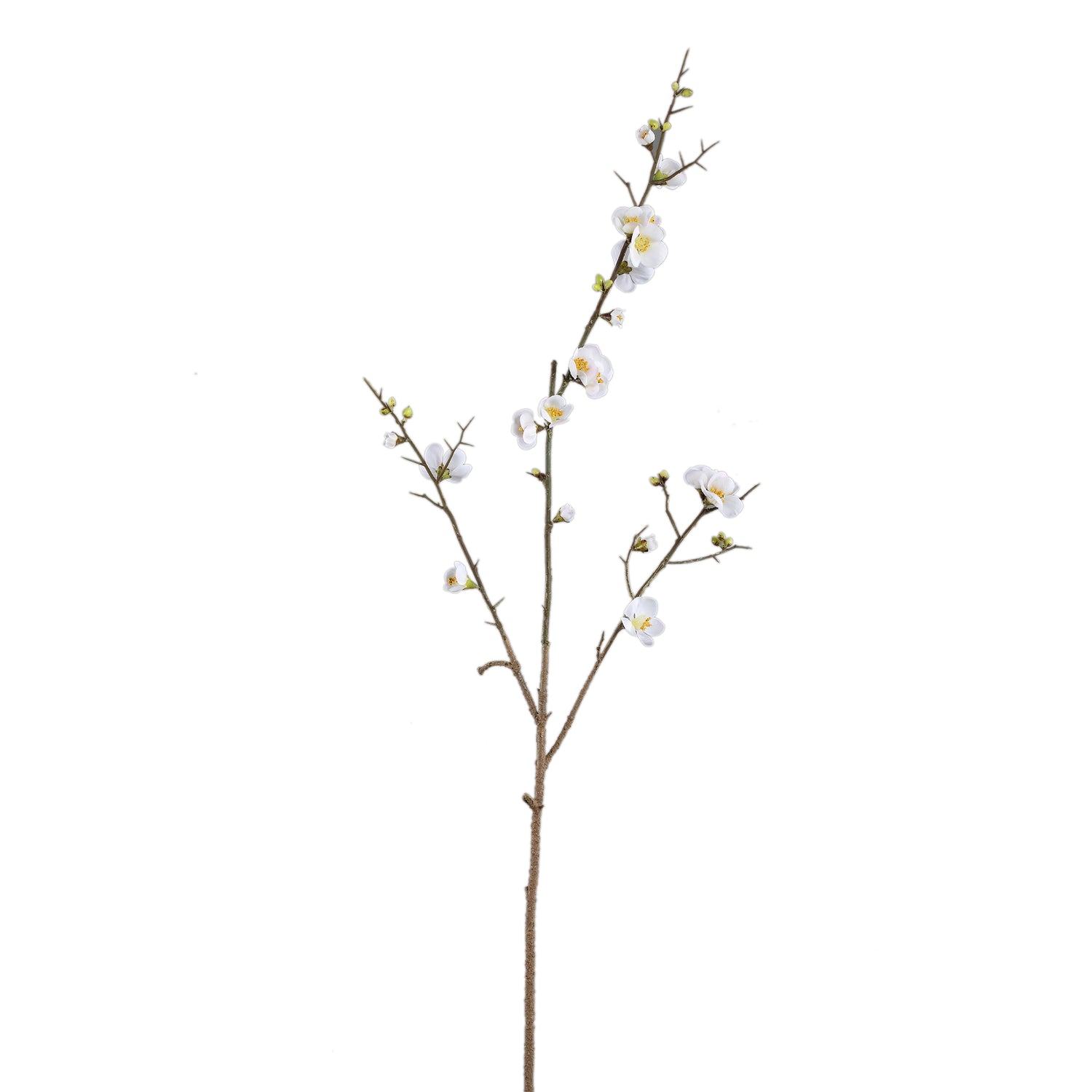 Blossom Japanse Kweepeer Wit S - Set van 12 - 12 Sets 89x52x19 cm