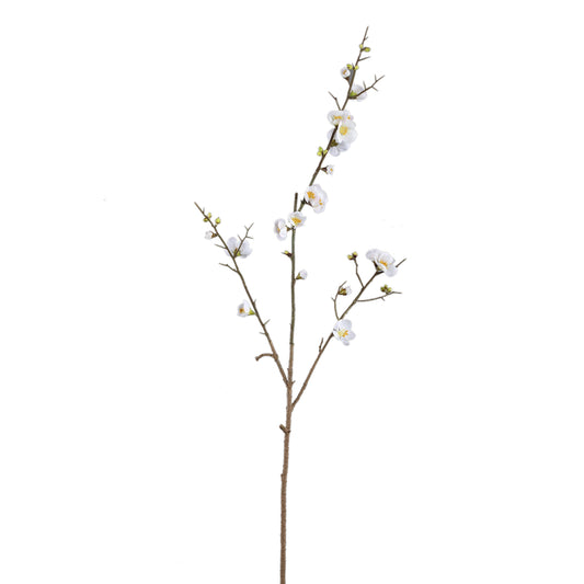 Blossom Japanse Kweepeer Wit S - Set van 12 - 12 Sets 89x52x19 cm