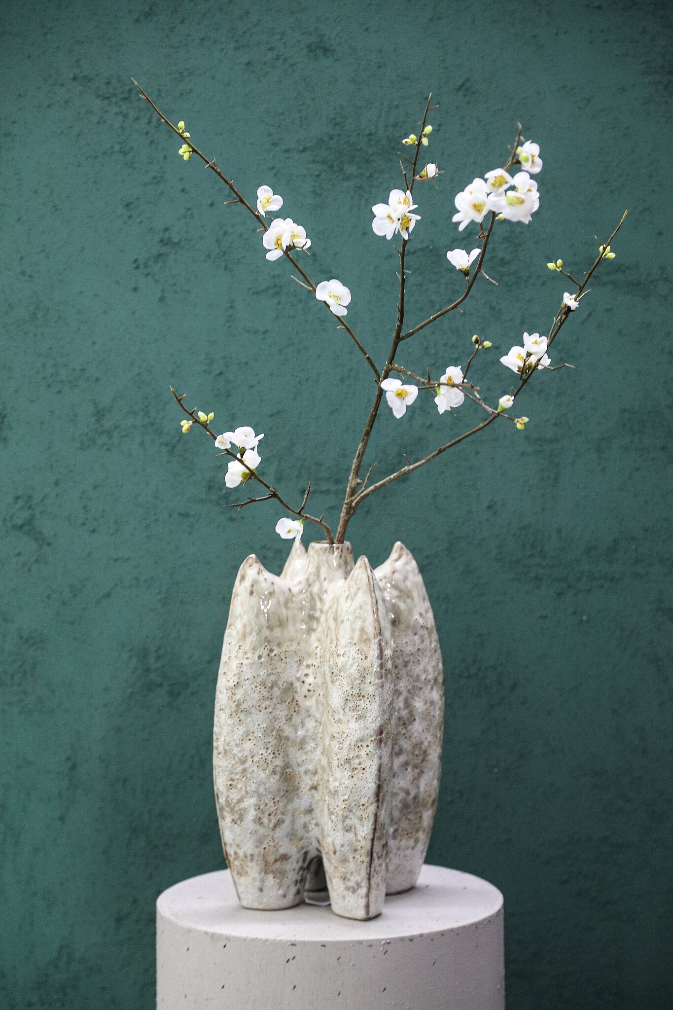 Blossom Japanese Flowering Quince Wit M - Set van 12 Stuks 121x66x54 cm