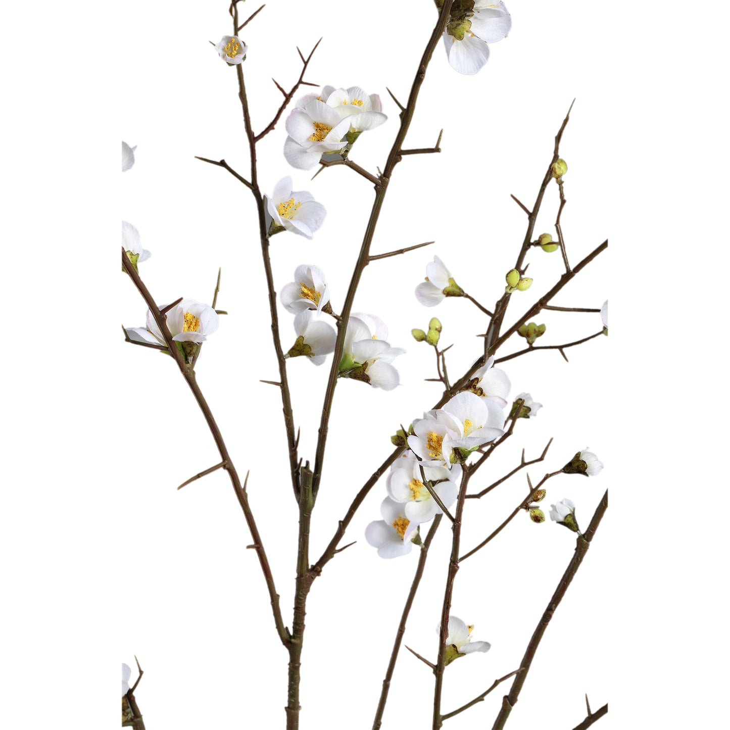 Blossom Japanse Bloesem Kunsttak Wit Groot - Set van 6 137x81.5x79 cm