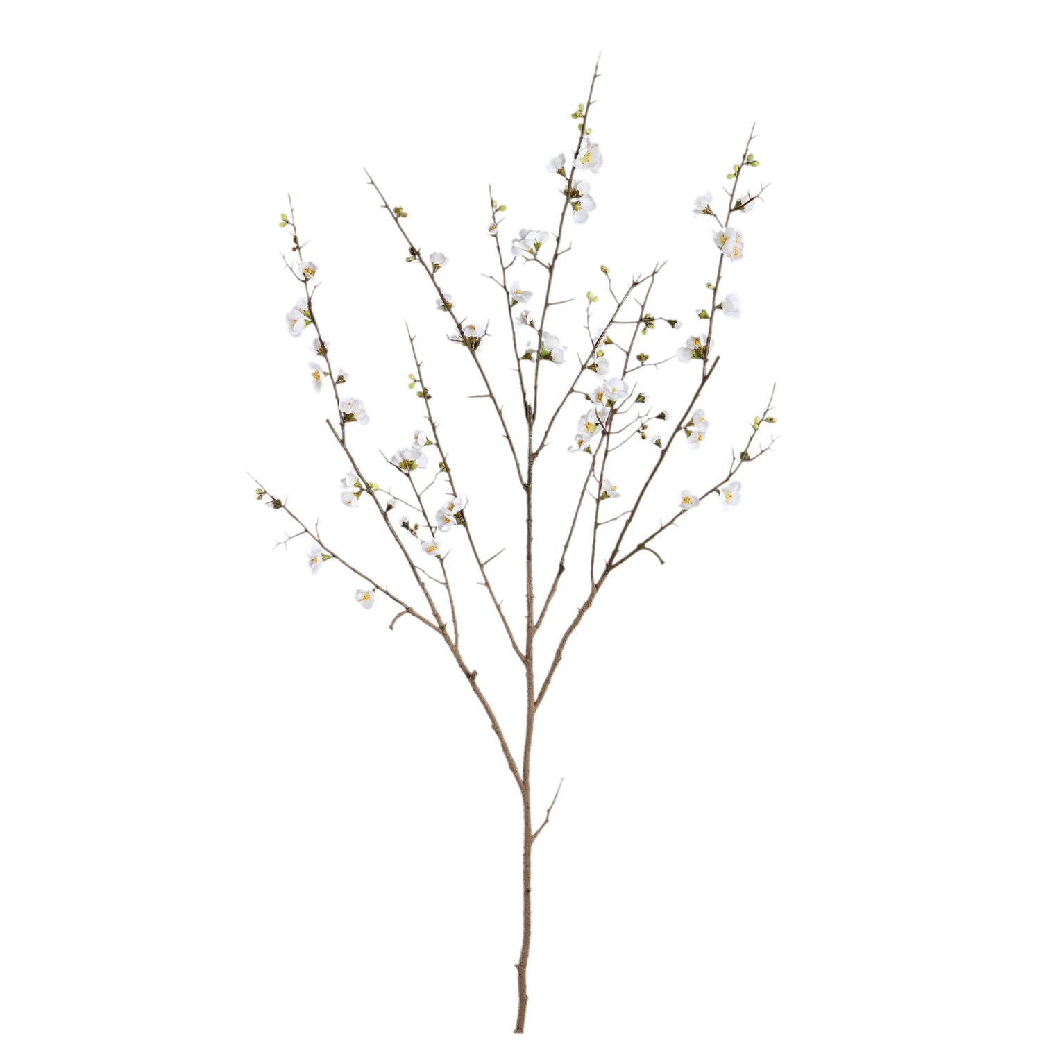Blossom Japanse Bloesem Kunsttak Wit Groot - Set van 6 137x81.5x79 cm
