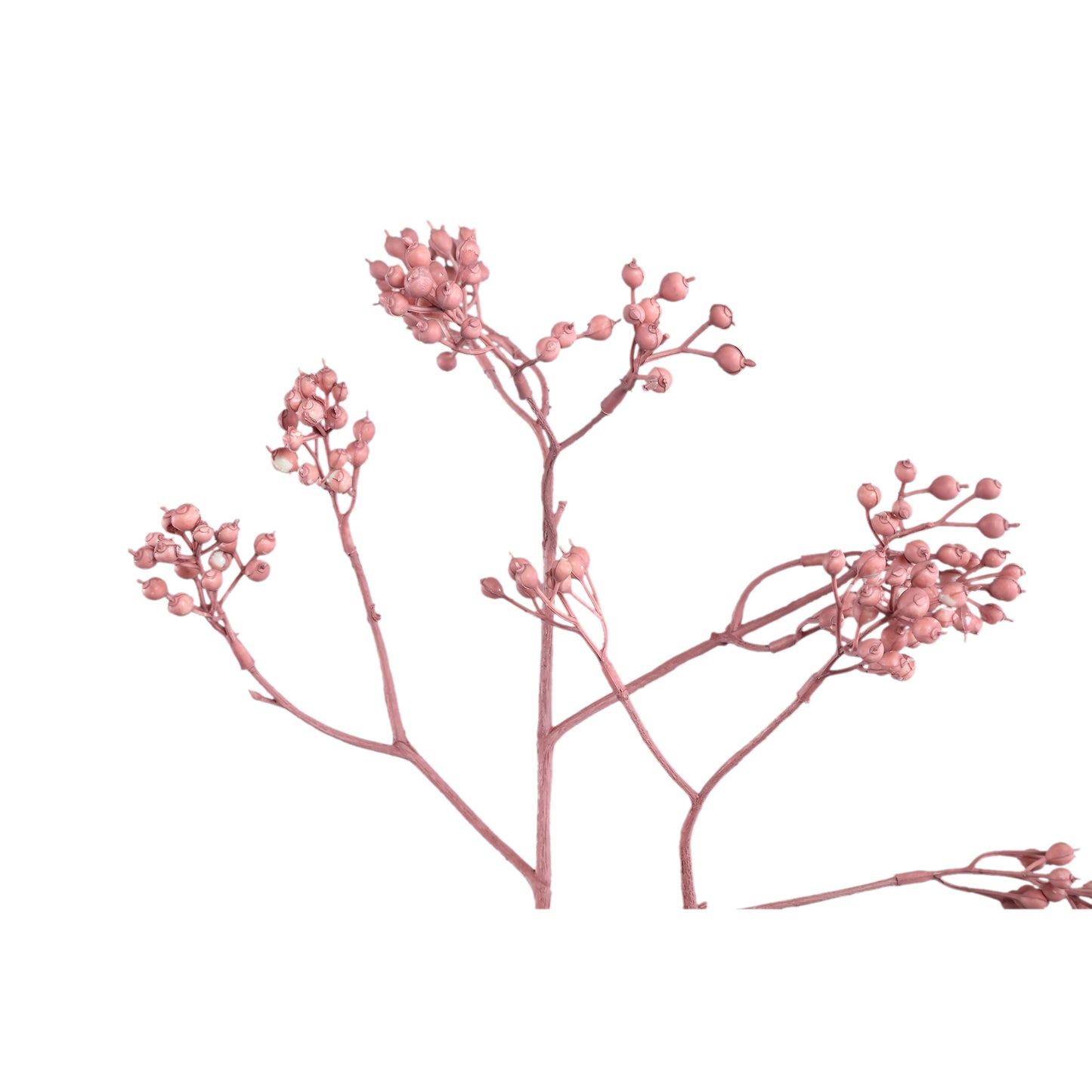 Berry Plant Roze Bessenspray - Set van 12 80x38x30 cm