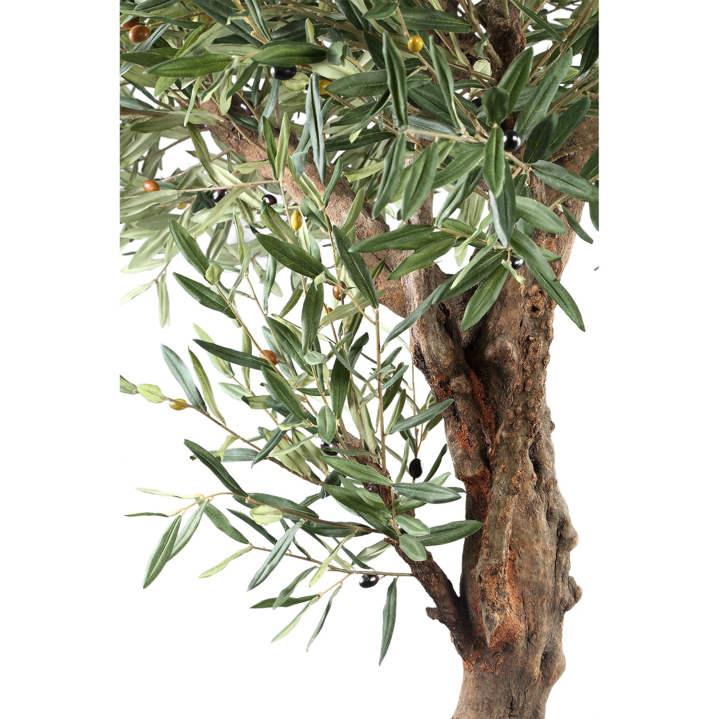 Tree Olijfgroen Olijfboom In Pot 210cm 210x120x120 cm