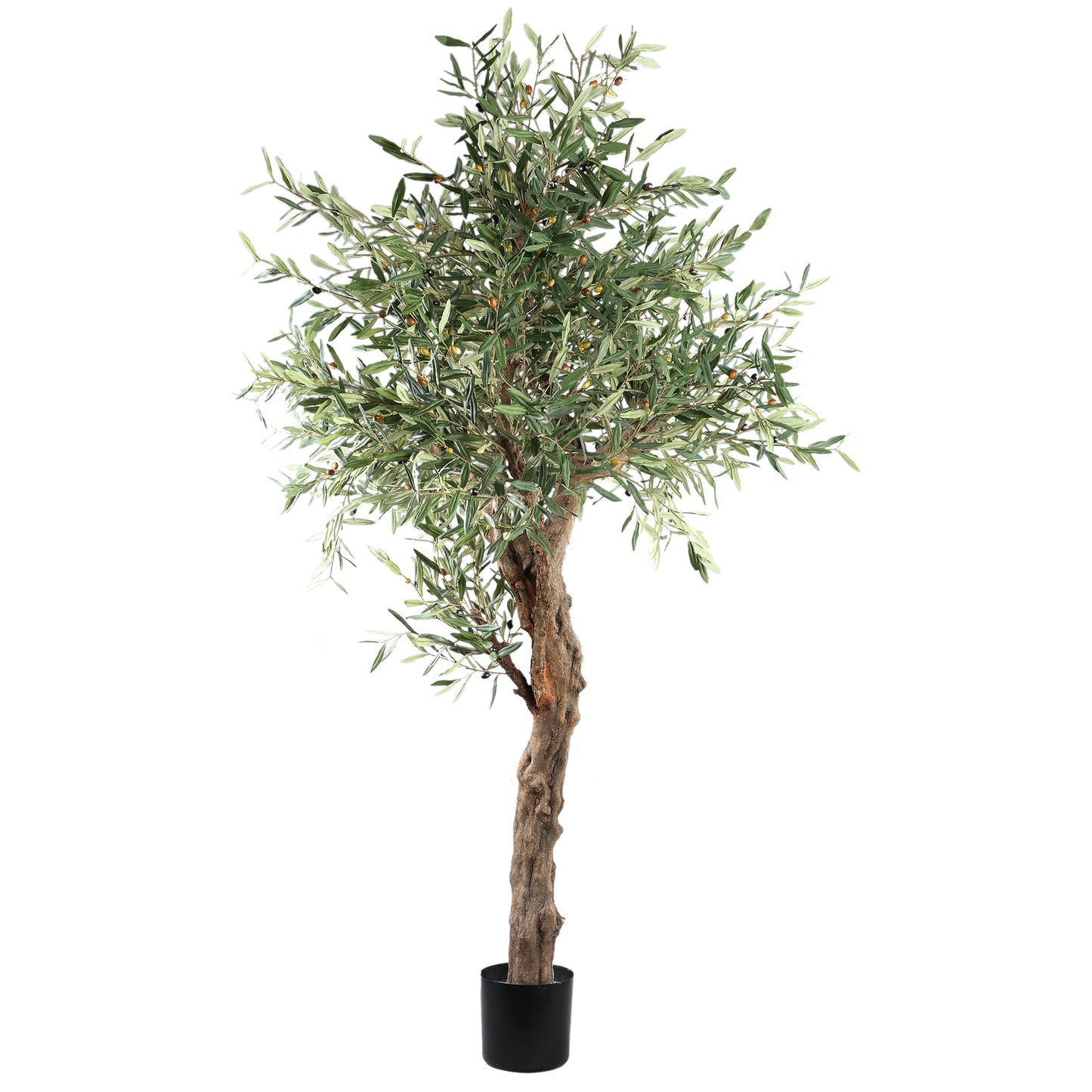 Tree Olijfgroen Olijfboom In Pot 210cm 210x120x120 cm