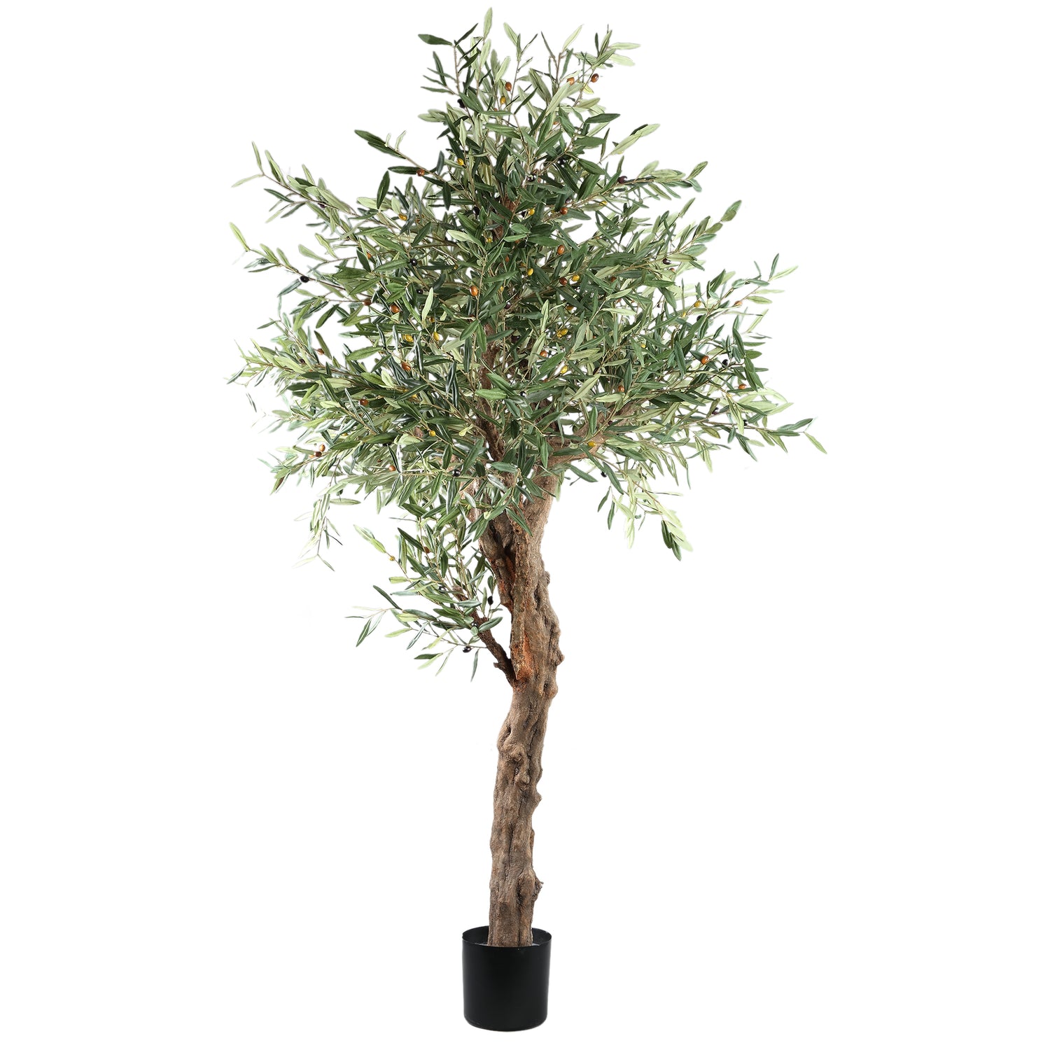 Tree Olijfgroen Olijfboom In Pot 210cm 210x120x120 cm