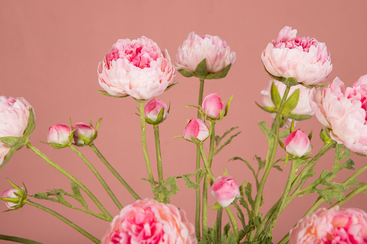 Ranonkel Flower Roze Spray Met Knop En Bladeren - Set van 12 39x23x13 cm
