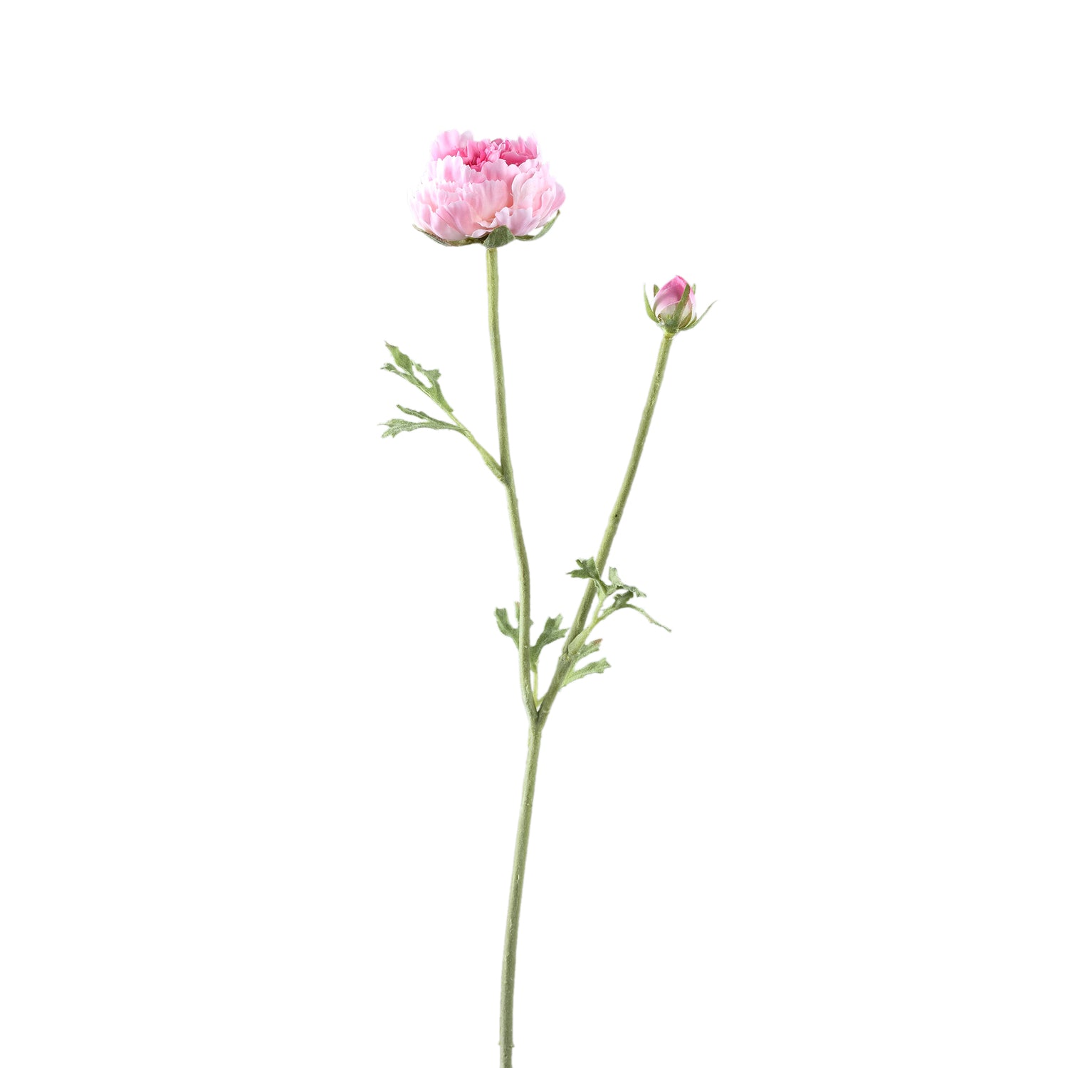 Ranonkel Flower Roze Spray Met Knop En Bladeren - Set van 12 39x23x13 cm