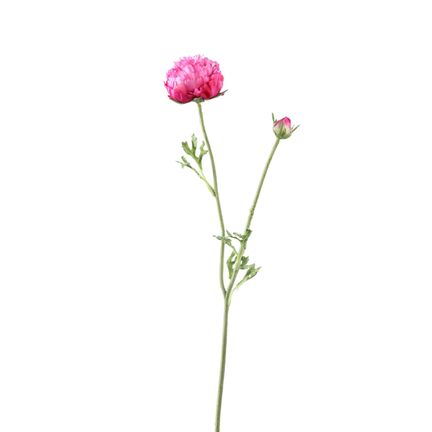 Ranonkel Flower Donkerroze Spray met Knop en Bladeren - Set van 12 39x23x13 cm