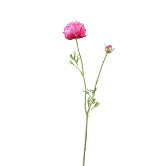 Ranonkel Flower Donkerroze Spray met Knop en Bladeren - Set van 12 39x23x13 cm