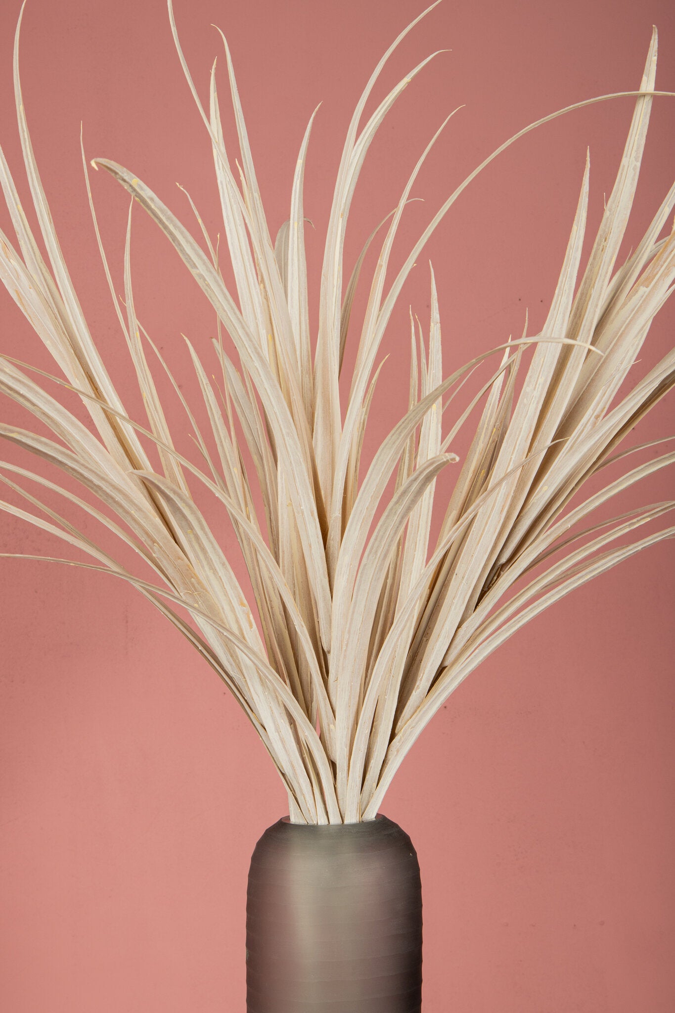 Leaves Plant Crème Yucca Spray Set van 6 Stuks 121x76x70 cm